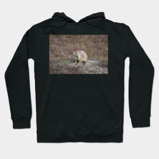 Wild Prairie Dog Hoodie